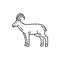 Goat domestic animal isolated livestock mammal