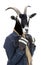 Goat dressed in Woman\'s Winter Wear Concept