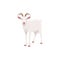 Goat, farm animal cattle icon, livestock and meat
