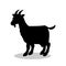 Goat farm mammal black silhouette animal