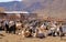 Goat flock in a farm in the naked mountains of gran canaria in spain