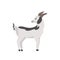 Goat with grey spots flat color vector character