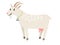 Goat. Happy white vector goat pet isolated on white, farm smiling mascot