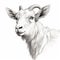 Goat Head Art Illustration: Clean, Sharp, And Realistic Speedpainting