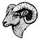 Goat Head Mascot Logo for Esport. Goat T-shirt Design. Sheep Logo. Sheep Sticker