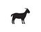 Goat Logo Template vector icon