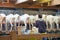 Goat milking facilities in a farm, livestock