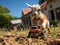 Goat mowing grass with toy lawnmower