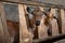 Goat organic farming and lambing industry