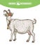 Goat portrait with floral wreath and bell on the neck, animal husbandry, hand drawn illustration