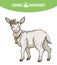 Goat portrait with floral wreath and bell on the neck, animal husbandry, hand drawn illustration