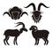 Goat and sheep icons