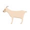 Goat side view agriculture wild farming animal vector. Silhouette flat mammal shape