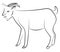 Goat sketch, illustration, vector