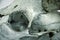 Goat skull detail