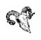 Goat skull pixel art. pixelated Goat head skeleton. 8 bit Vector illustration