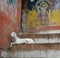 Goat on the steps of the Varanasi ghats, India