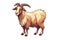 Goat Sticker On Isolated Tansparent Background, Png, Logo. Generative AI