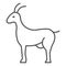 Goat thin line icon, livestock concept, nanny-goat sign on white background, Goat figure icon in outline style for