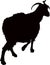 A goat walking, black color painted silhouette vector
