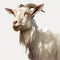 Goat On White Background: Magali Villeneuve Style, 32k Uhd Painted Illustrations