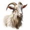 Goat On White Background: Magali Villeneuve Style Uhd Painted Illustration