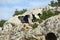 Goats on the ancient roman tombs, Turkey