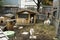 Goats family and Rabbits stand on ground in cage at outdoor