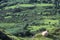 Goats grazing among the green rolling fields in Healy Pass, Cork, Ireland