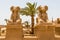 Goats headed sphinxes and the palm tree in the ancient city of Thebes, modern-day Luxor, Egypt