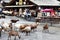 Goats in Les Lindarets or the Goat Village, France