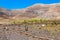 Goats In The Mountains- Canary Islands, Spain