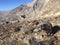 Goats in Muktinath Valley in Mustang District, Nepal in Winter.