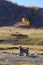 Goats near Karakol valley in autumn,Altai,Russia.