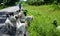 Goats with owner in Thailand