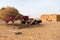 Goats Resting under a Shelter in the Desert