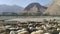 Goats on the road on Pamir highway in Tajikistan