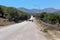 Goats on the roadway Greece, mountains Pindos, region Tzoumerka