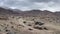 Goats and sheep walking up a barren hillside