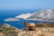 Goats who climb the rocks in Amorgos island