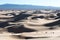 Gobi desert Horses walking in the sand dunes