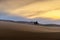 Gobi desert, may 2019, Mongolia : Camel going through the sand dunes on sunrise, Gobi desert Mongolia