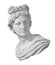 God Apollo bust sculpture. Ancient Greek god of Sun and Poetry Plaster copy of a marble statue isolated on white with