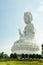 The Goddess of Mercy, known as Quan Yin or Guan Yin Statue at Wat Hyua Pla Kang temple in Chiang Rai, Thailand