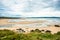 Godrevy Head at St. Ives Bay