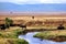 Going on safari in the NgoroNgoro Conservation Area near Arusha, Tanzania