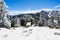 Going up on a ski slope on a sunny winter day, frozen snow covering the trees and the ground, Mount San Antonio (Mt Baldy), south