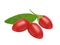 Goji berry