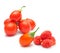 Goji berry isolated