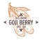 Goji berry isolated icon organic exotic food